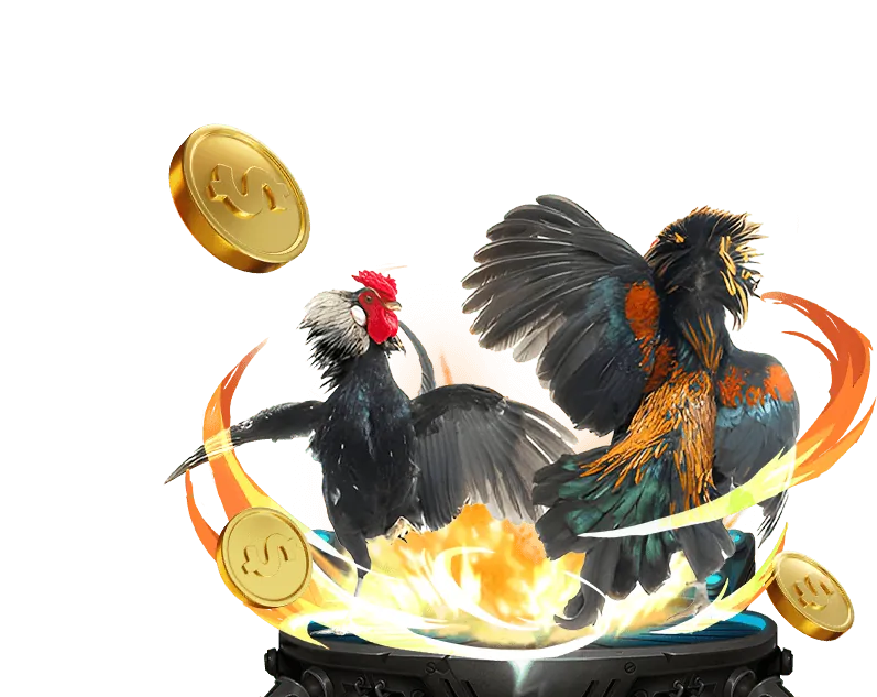 Hình ảnh minh họa quản lý vốn và tâm lý chơi cá cược